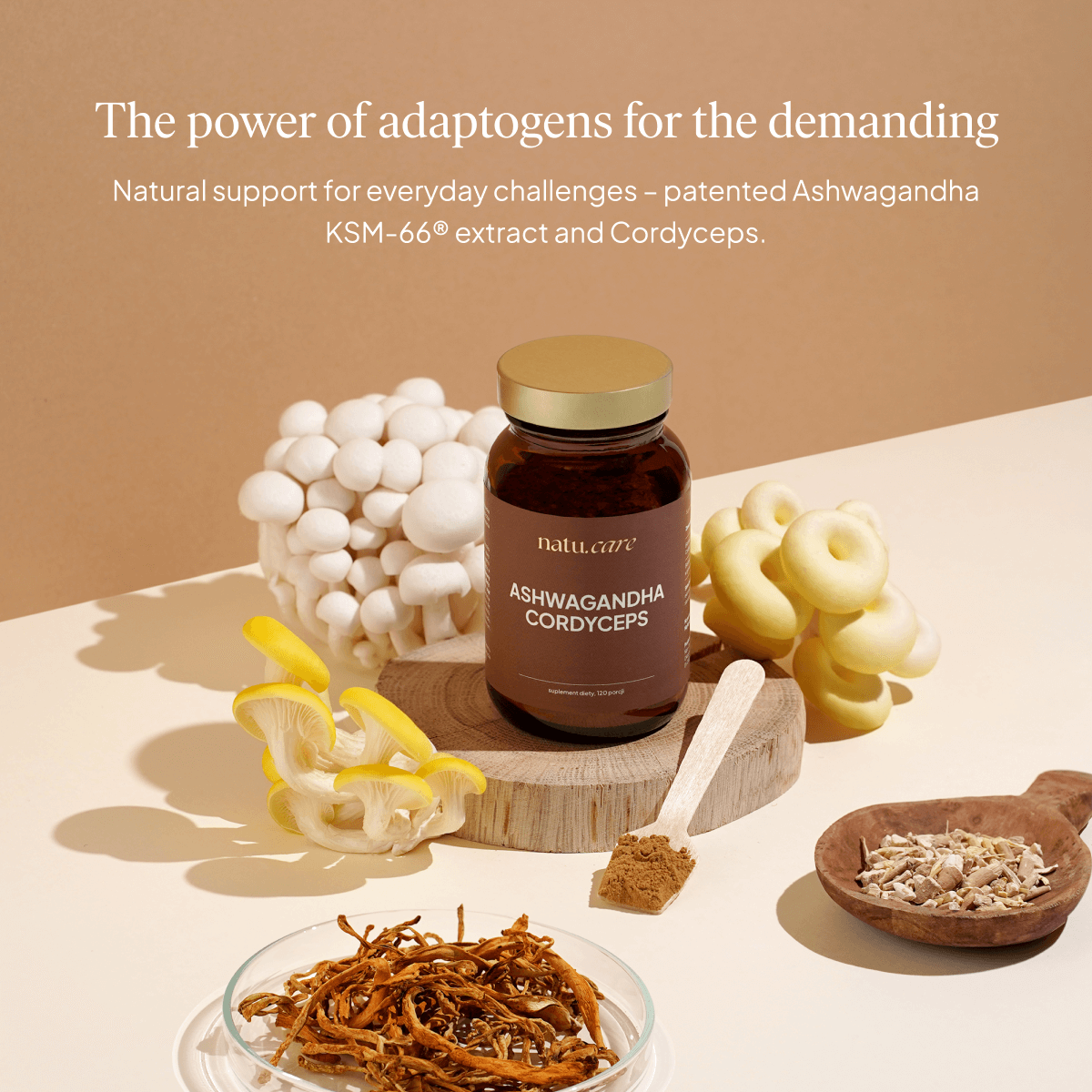 Adaptogens: Ashwagandha &amp; Cordyceps