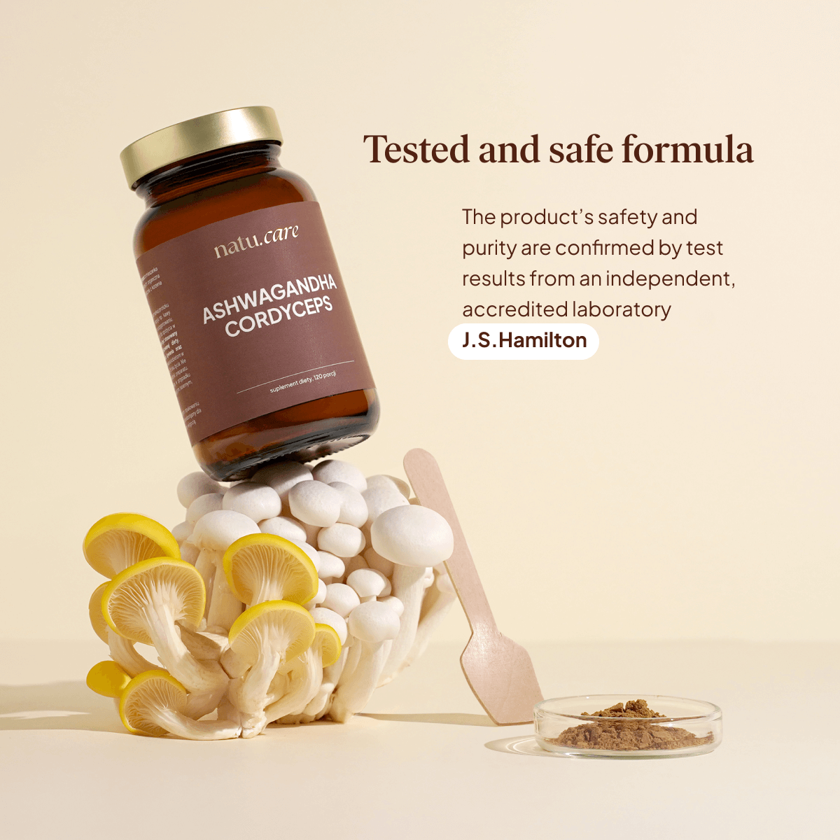 Adaptogens: Ashwagandha & Cordyceps