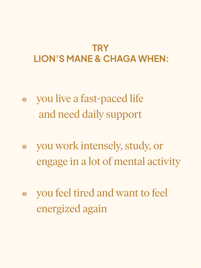 Adaptogens: Lions Mane &amp; Chaga