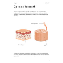Ebook: Collagen. Everything You Need to Know