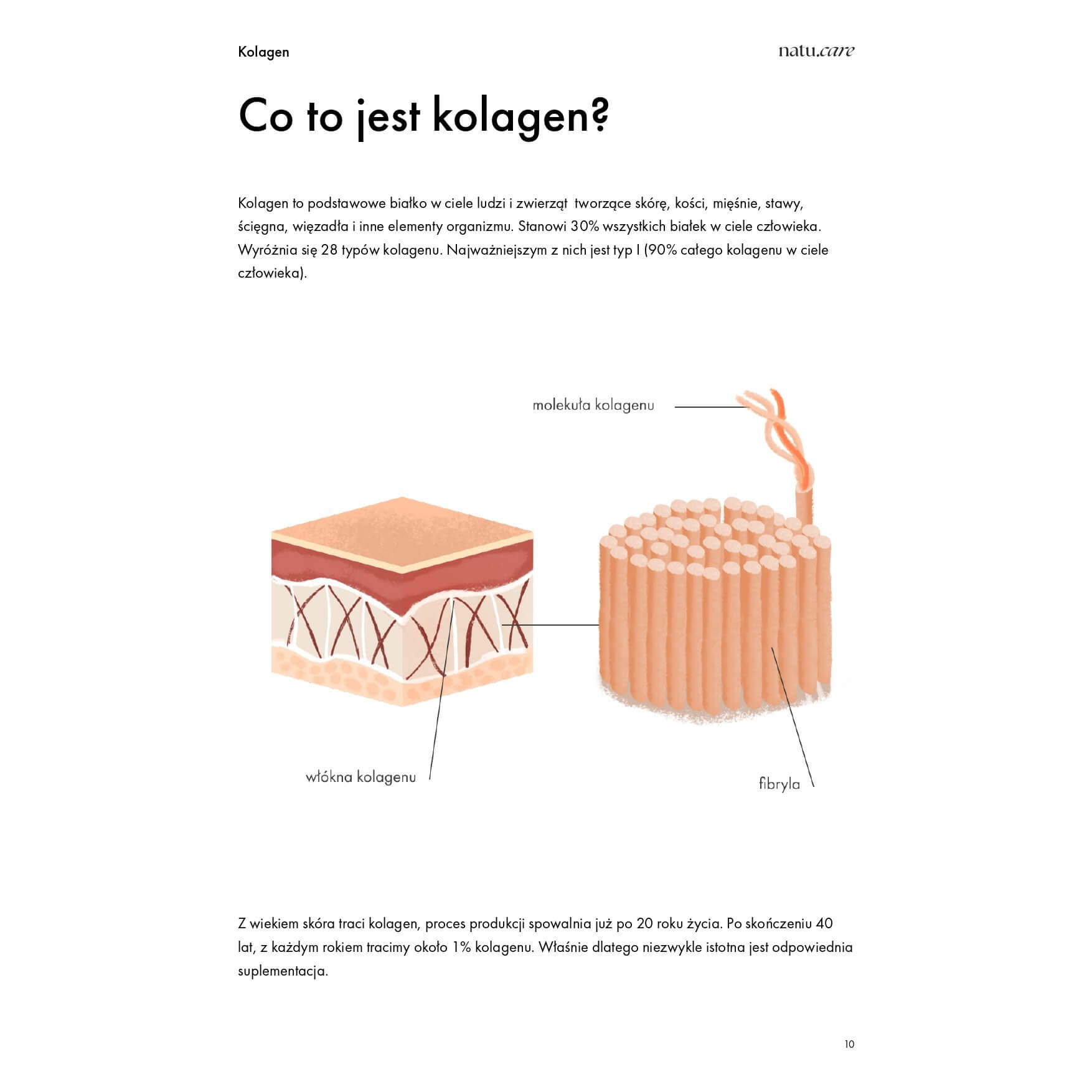 Ebook: Collagen. Everything You Need to Know