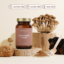 Adaptogens: Lions Mane & Chaga