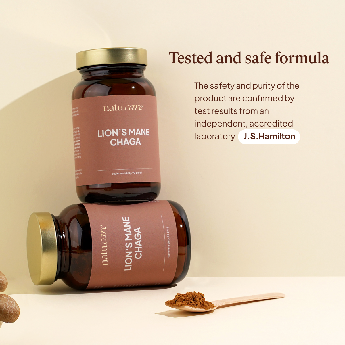 Adaptogens: Lions Mane & Chaga