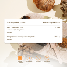 Adaptogens: Lions Mane & Chaga