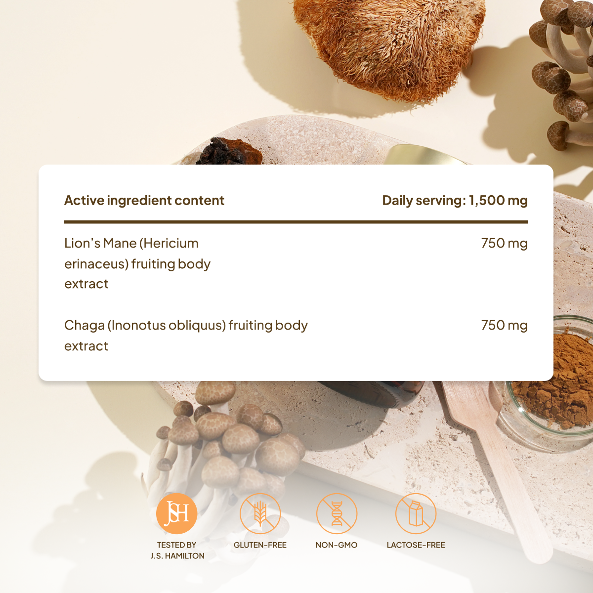 Adaptogens: Lions Mane & Chaga